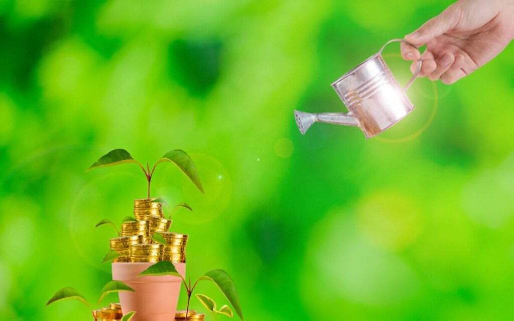 2 million liquid to invest for growth