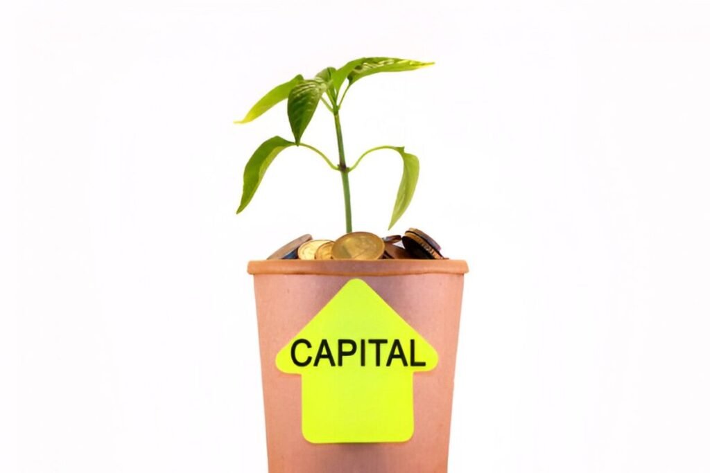 20 cash return on invested capital croic growth