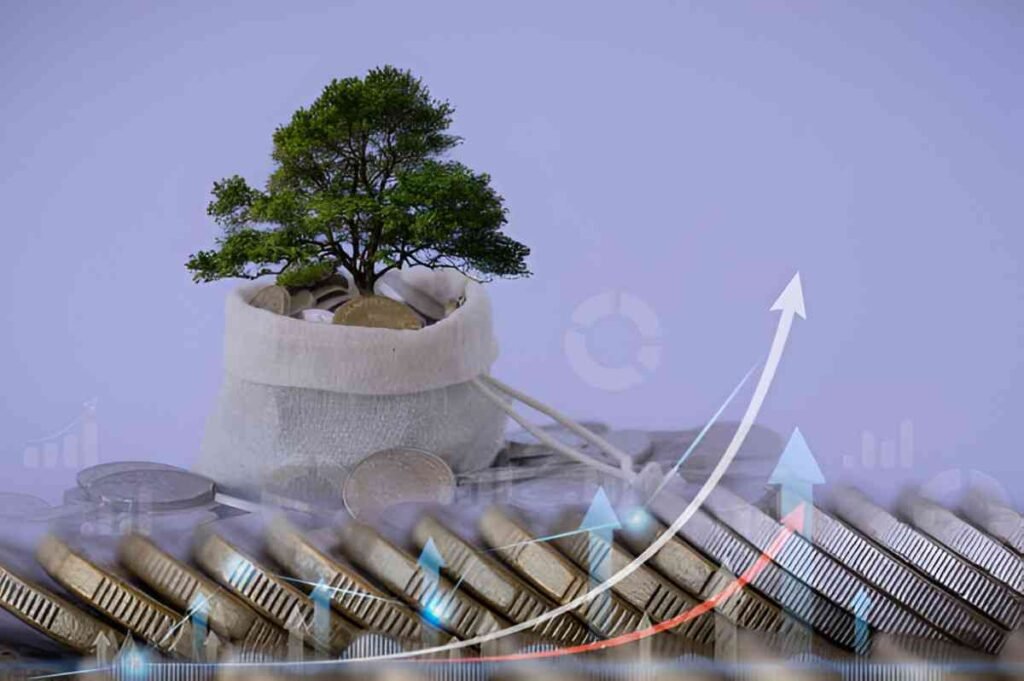 82 cash return on invested capital croic growth