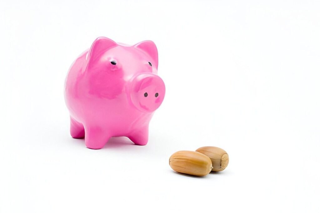 acorns retirement plan