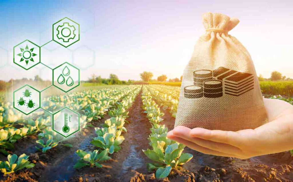 agricultural value chain investments