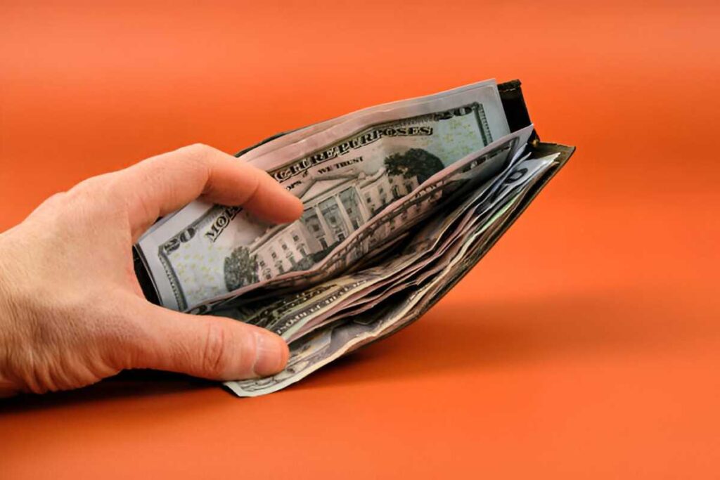 an investment to give flexibility growth and income