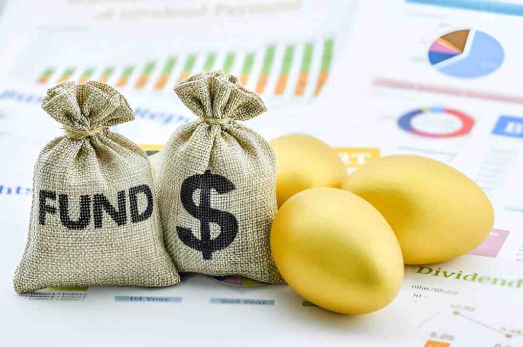 asset allocation for endowment funds