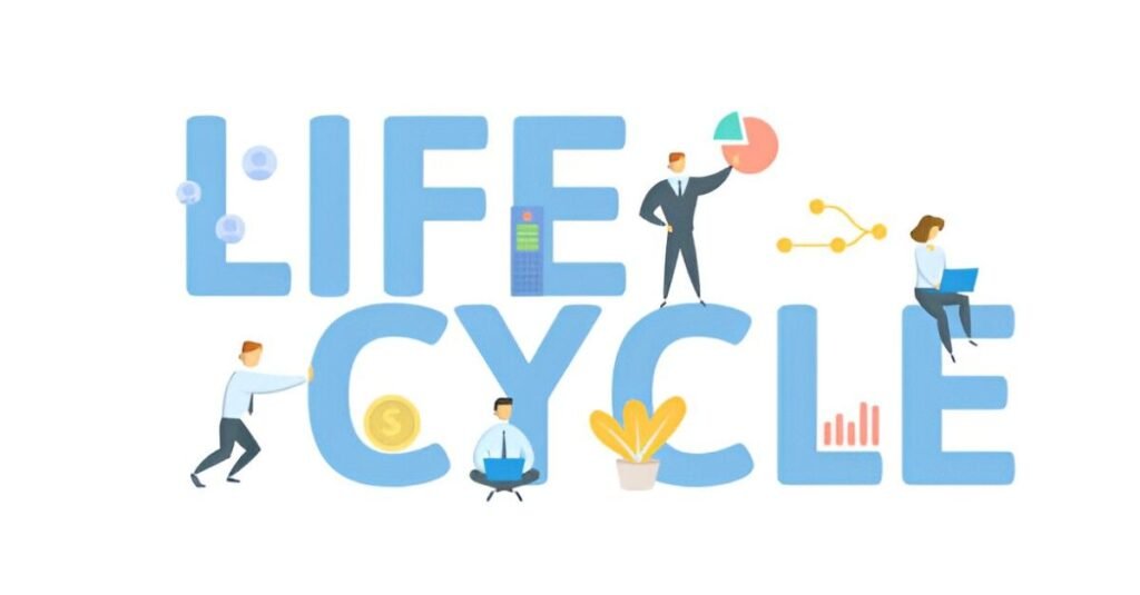 asset allocation through different life cycles