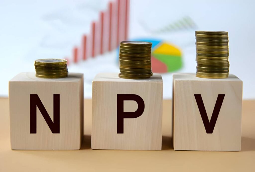 NPV and Capital Budgeting Criteria