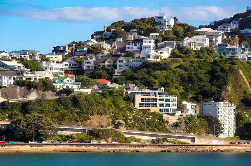 Buy and Hold Properties in Wellington