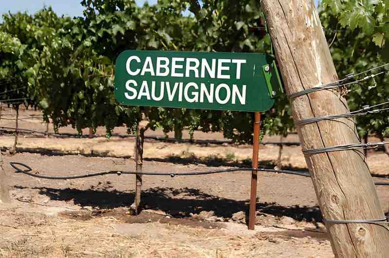 Cabernet Sauvignon to Buy Now and Hold