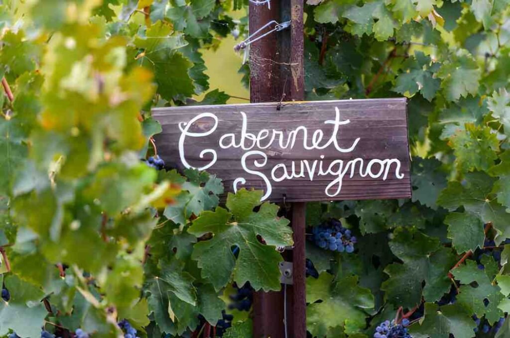 Cabernet Under 50 to Buy and Hold