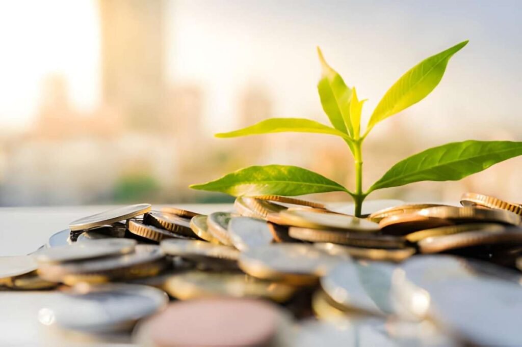 Capital Growth Only Investments