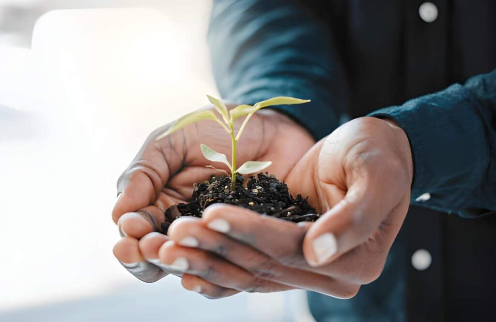 Carbon Sequestration Investment and Economic Growth