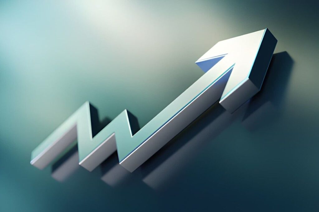 Concentrated Growth Investments High-Potential, High-Risk Strategies