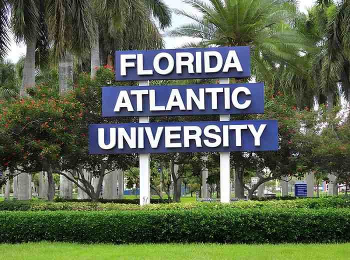 Deferred Retirement Option Plan Florida