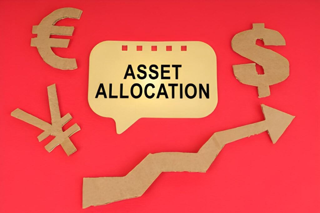 Determinants of Asset Allocation