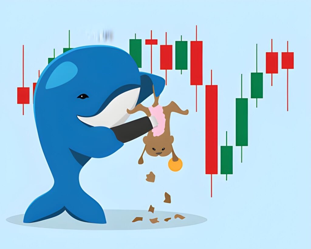Momentum Trading Shark