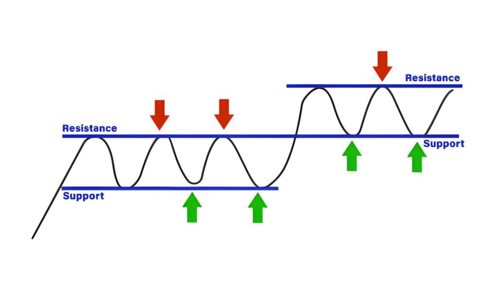 The Double Hump Down Navigating the Momentum Reversal Pattern