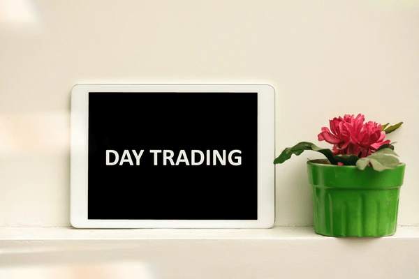 The Data Advantage Maximizing Efficiency with Free Day Trading Screeners